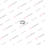 Delphi 2 Pin Yakıt Ayar Pulu