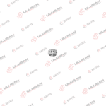 Volvo Delphi 4 Pin Yakıt Ayar Pulu (Çift Yay)