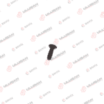 Bosch Birim Pompa Vidası