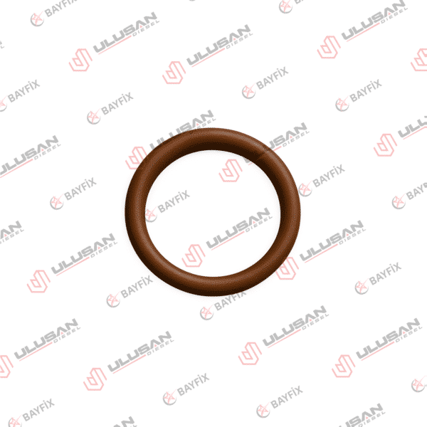O-Ring