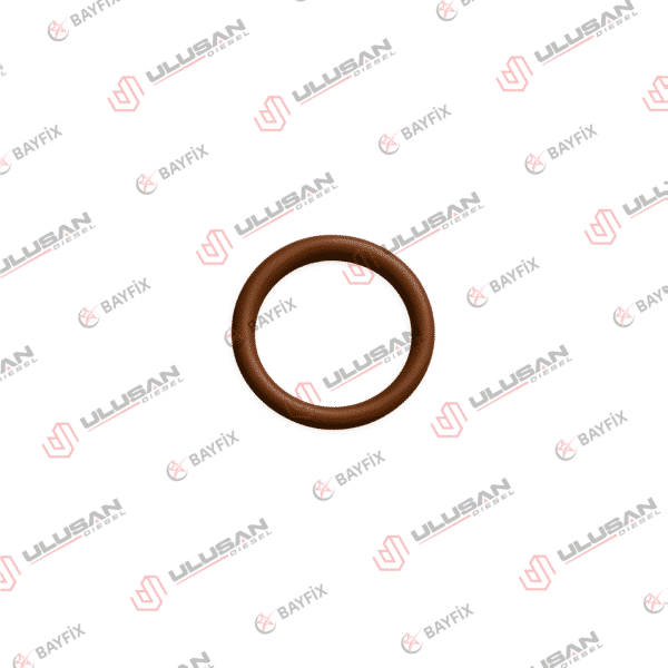 O-Ring