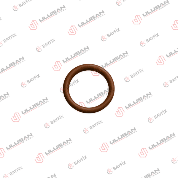 O-Ring