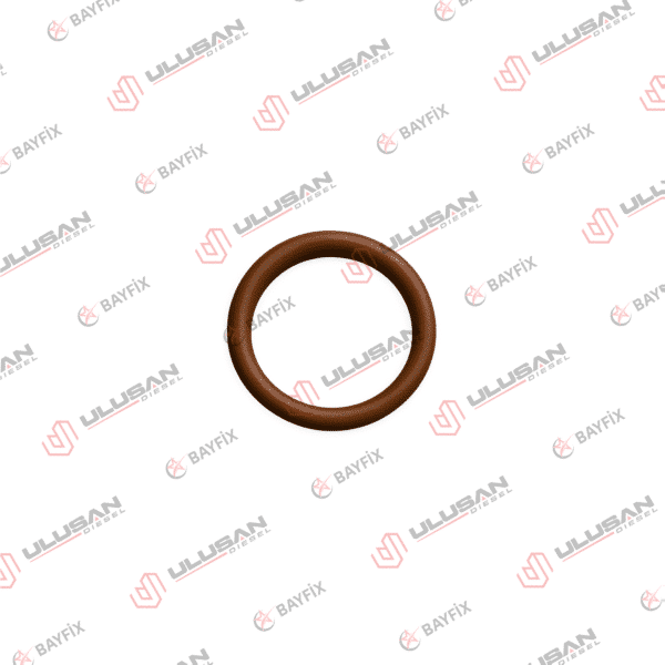O-Ring