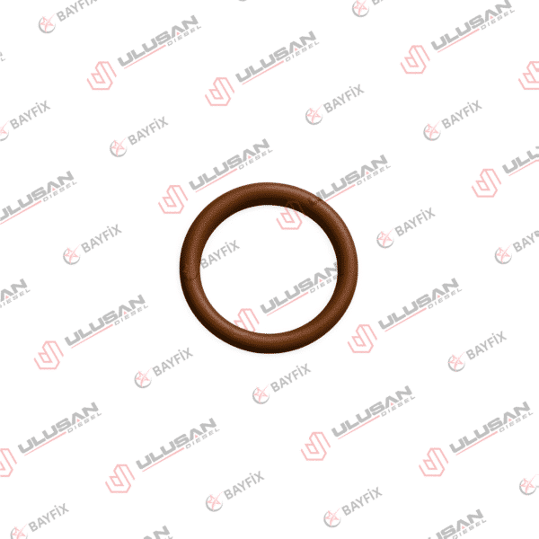O-Ring
