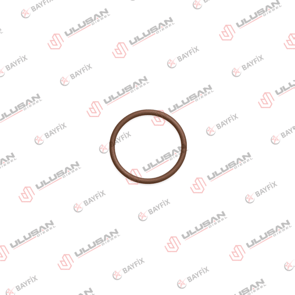 Siemens Bobin O-Ringi