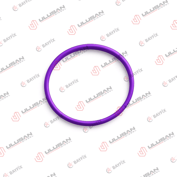 O-Ring