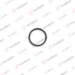 О-ринг DAF Smart