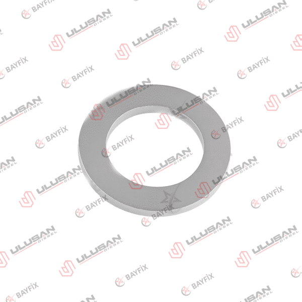 Шайба входного рекора